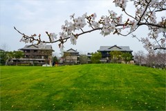 2026年第0491贴 -无锡拈花湾纪实旅拍（0720）