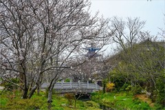 2026年第0491贴 -无锡拈花湾纪实旅拍（0720）