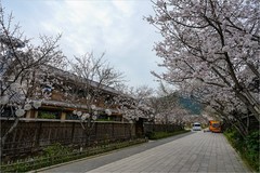 2026年第0491贴 -无锡拈花湾纪实旅拍（0720）