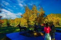 可可托海风景 39