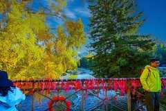 可可托海风景 39