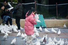 渝乐小镇（二）