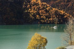 平武的彩林雪山