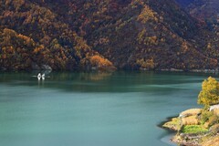 平武的彩林雪山