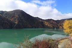 平武的彩林雪山