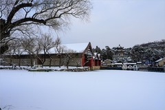 2026年第0059贴-颐和园风光纪实游拍（0120）