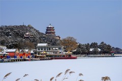 2026年第0059贴-颐和园风光纪实游拍（0120）