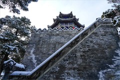 2026年第0060贴-颐和园风光纪实游拍（0120）