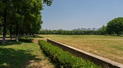 大明宫公园掠影