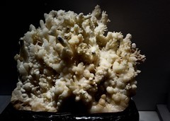 成都自然博物馆【续完】