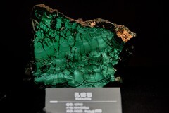 成都自然博物馆【续完】