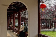 武汉梅花园（六）