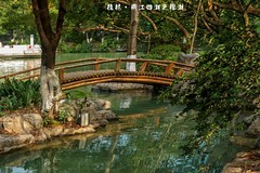 桂林·两江四湖之榕湖（2）