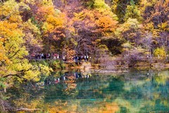 外出随拍（799）.