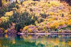 外出随拍（799）.