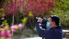 公园遛弯儿，随见随拍