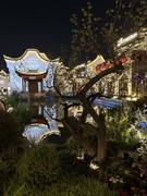 2026年- 惠山古镇纪实旅拍-0279