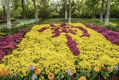 天津水西公园金秋赏菊