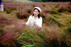 环境人像-----粉黛草丛中！