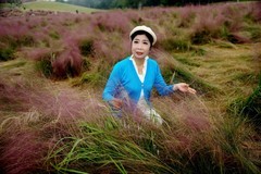 环境人像-----粉黛草丛中！