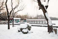 颐和瑞雪之三