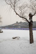 颐和瑞雪之三