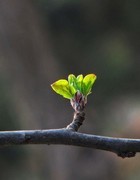 继续折腾老相机SX10，好久没用重新研究也是乐趣，这长焦抓拍美女很行，画质有待提高