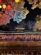 2026年- 惠山古镇纪实旅拍-0280