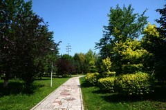 同心公园之夏（7）
