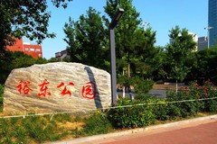 夏日·裕东公园