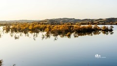 南疆行——尉犁葫芦岛的风景（16）