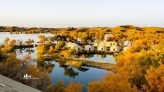 南疆行——尉犁葫芦岛的风景（16）