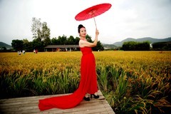 环境人像--稻田红裙！