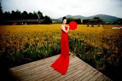 环境人像--稻田红裙！