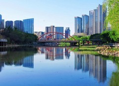 疯狂的上片！再来一帖折腾老相机，抓紧实验稳定了，后期大干一场！哈哈！