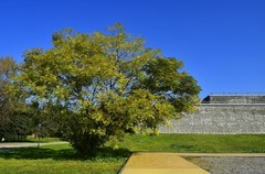 西安大明宫雕塑