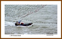 小渔村奇达海洋牧场—2022南行慢游（福建170）福州市连江县