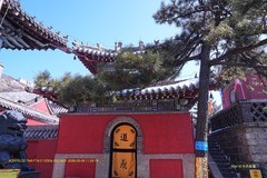 登泰山 随拍（三）
