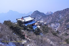 登泰山 随拍（三）
