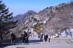 登泰山 随拍（三）