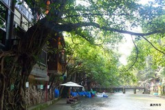 偏岩古镇，黑水滩河的浅滩成为玩水圣地，巨大古老的黄桷树遮天蔽日