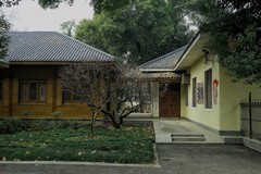 武汉梅花园（七）