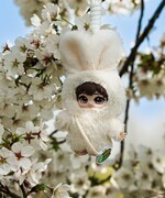 春游玉渊潭20260329 《7》