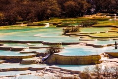 外出随拍（807）.