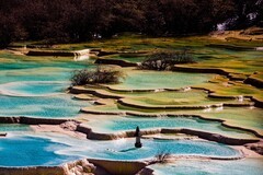 外出随拍（807）.