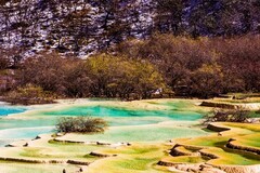 外出随拍（807）.