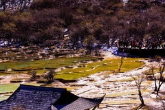 外出随拍（805）.