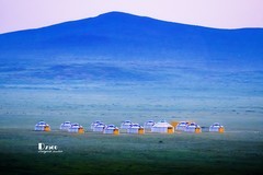 牧人迁徙（31）