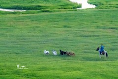 牧人迁徙（31）