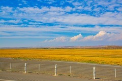 美丽的风景在路上3